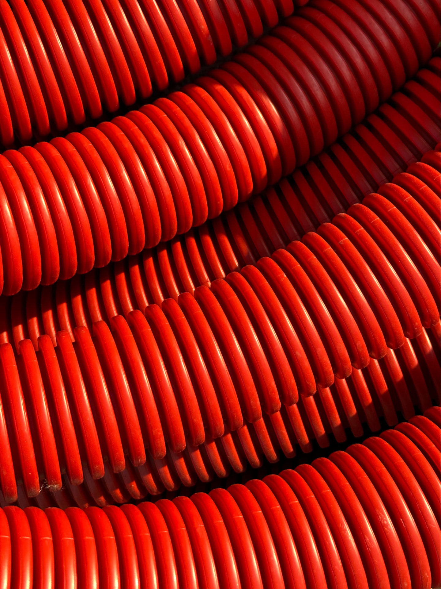 Gaine électrique souple tenant plusieurs fils, analogie du gainage du tronc